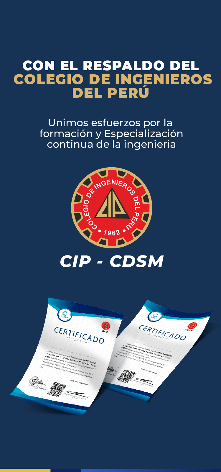 Tailwind CSS background